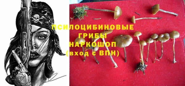 гидра Алексин