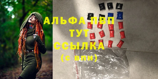 гидра Алексин